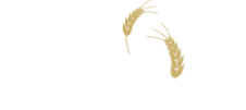 Bio Enzimes