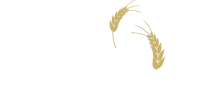 Bio Enzimes